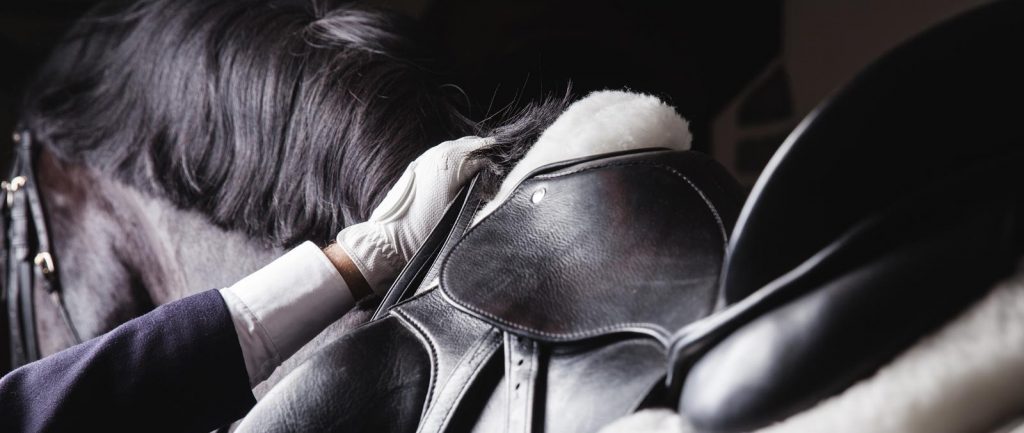 Equestrian Brands Home Banner