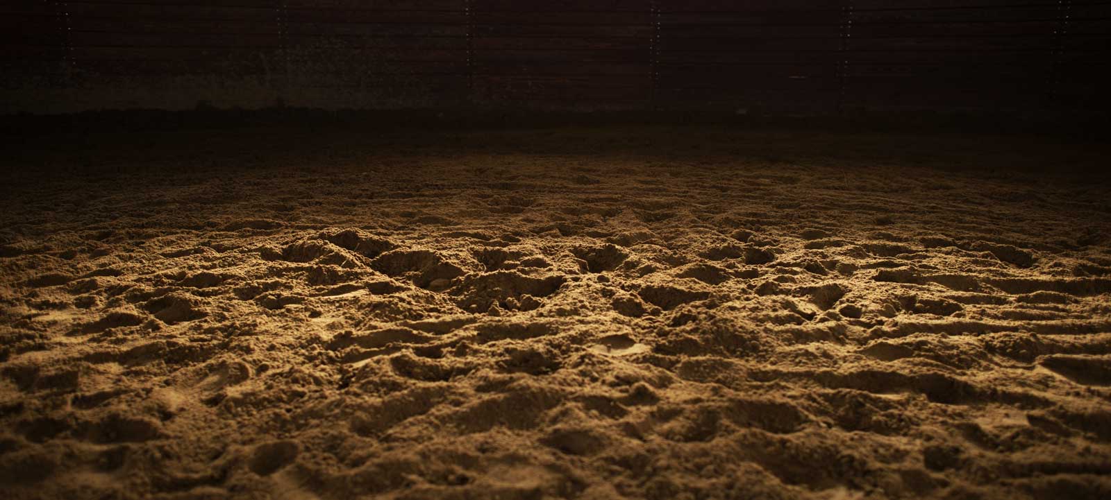 Equestrian Brands Sand Arena